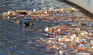 Śmieci, kt&oacute;rych nie widać