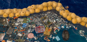 Zbieracz morskich śmieci