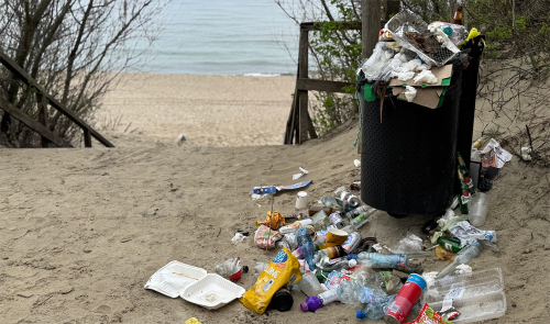 Światowy Dzień Ziemi?