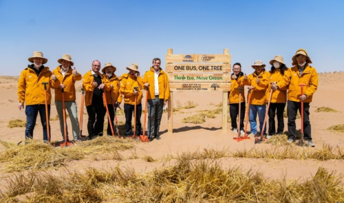 Jeden autobus &ndash; jedno drzewo